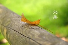 今日12時9分，迎來處暑節氣